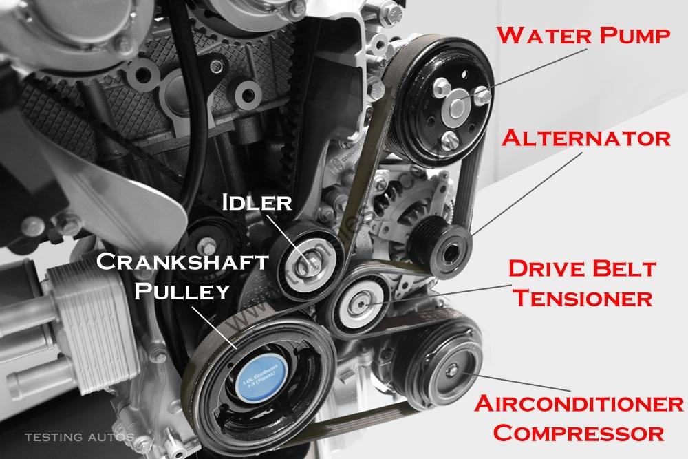 Engine Belts