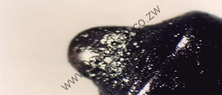 DESIEL INJECTION SERVICES